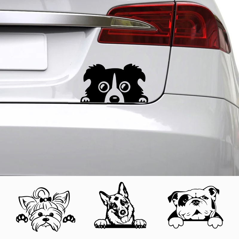 Autos Zubehör Aufkleber Lustig – Laptop Accessories And Gadgets Bewertung und Preis